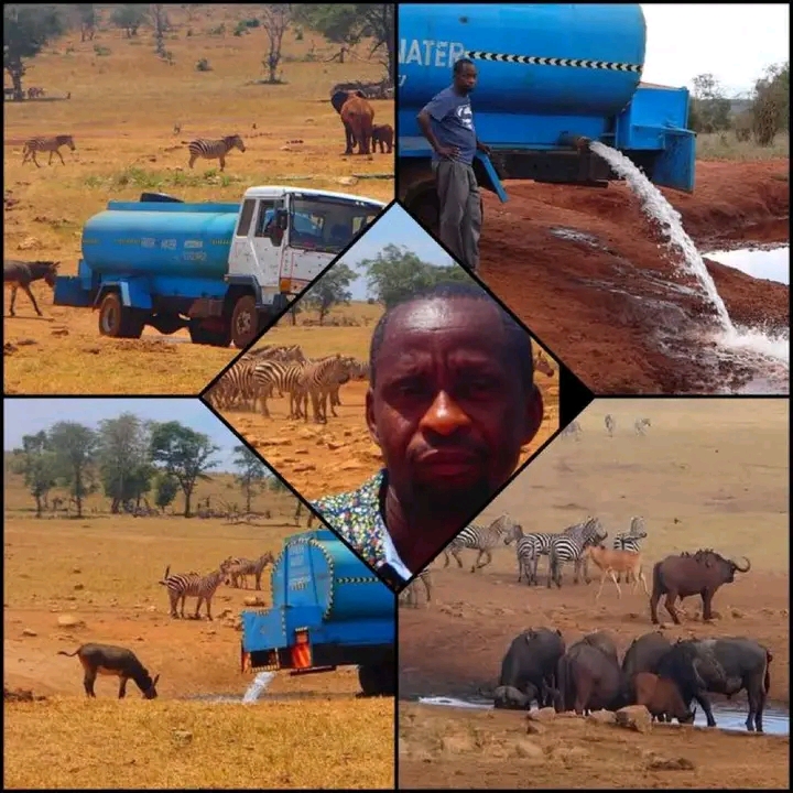 TRUCK HERO OF THE SAVANNAH: MAN DELIVERS 3,000 GALLONS TO SAVE DYING WILDLIFE