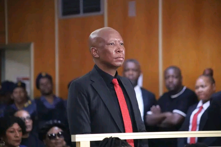 EFF Lodges Formal Complaint Against Prosecutor in Julius Malema Firearm Case