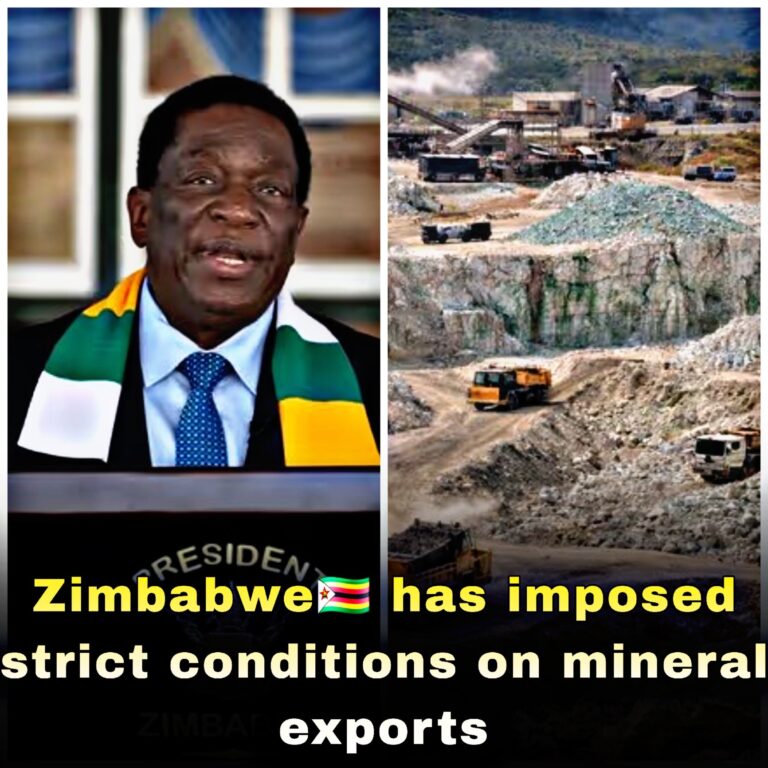Zimbabwe Imposes Strict Conditions on Lithium Exports — Domestic Processing Facilities Required