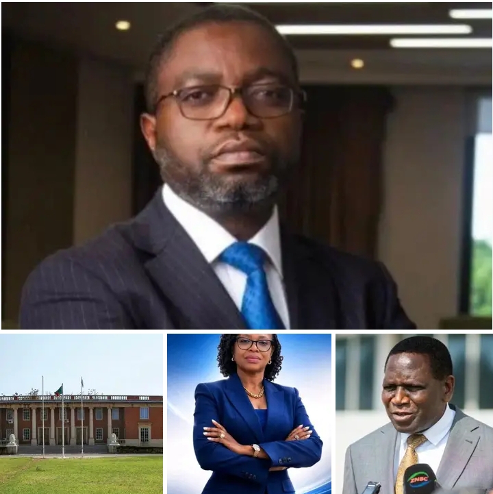 CONCOURT CRACKS THE WHIP: GOVERNMENT ORDERED TO ENACT POLITICAL PARTIES LAW WITHIN 12 MONTHS