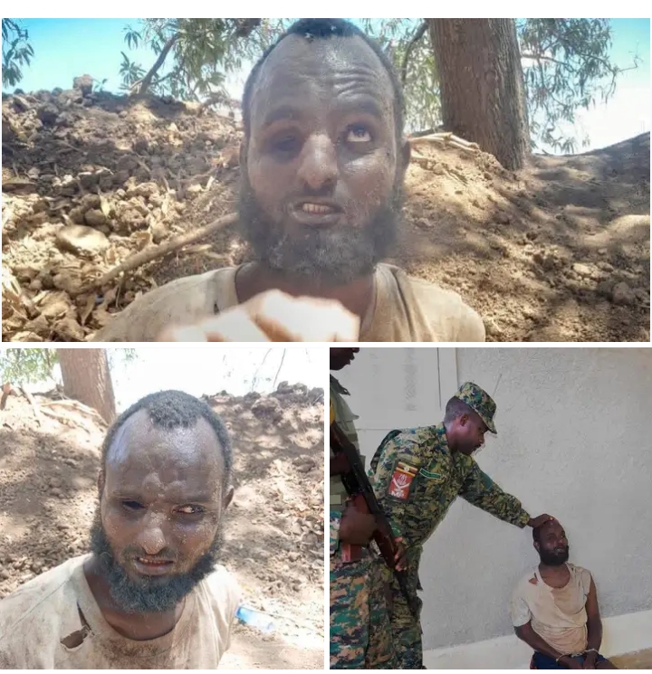 Senior Al-Shabaab Commander Captured