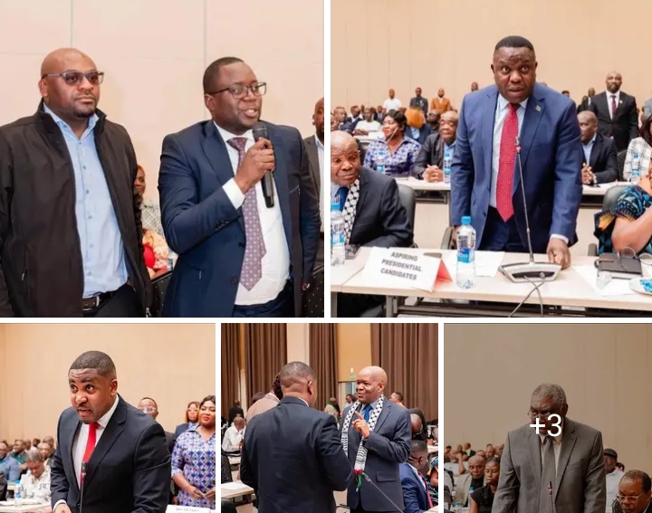 They Sent Clowns to Destabilise the Real Opposition-Sishuwa Sishuwa