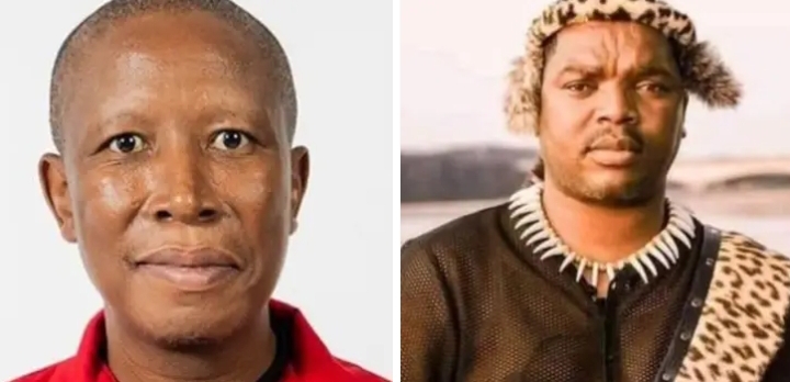 Julius Malema Demands R1 Million and Apology from Ngizwe Mchunu Over Claims of R60 Million Payment from Nigerian Drug Dealers