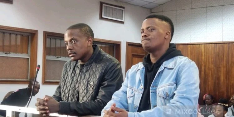 Police Officer Denies Payout Link in Chatunga Mugabe Shooting Drama