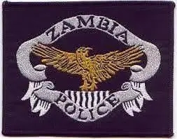 CHOMA COP USES TOY PISTOL TO ROB K32,566 WORTH OF PROPERTY