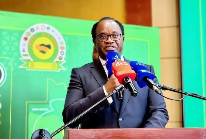 UPND frustrating my presidential bid because they fear me – Mundubile