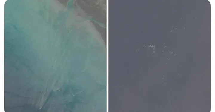 Iran Seizes Control of Strait of Hormuz with Massive Speedboat Swarm