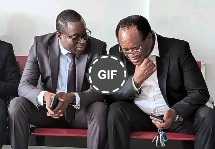 A MARRIAGE OF CONVENIENCE IN THE OPPOSITION; MUNDUBILE/ MAKEBI AGREE ON ONE TICKET