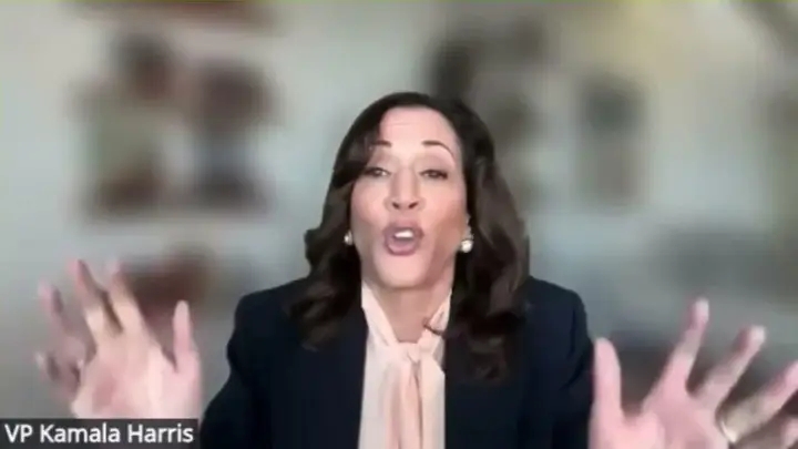 KAMALA HARRIS CALLS FOR “NO BAD IDEA BRAINSTORM” PUSHING ABOLISH ELECTORAL COLLEGE, PACK SUPREME COURT, AND STATEHOOD FOR DC AND PUERTO RICO