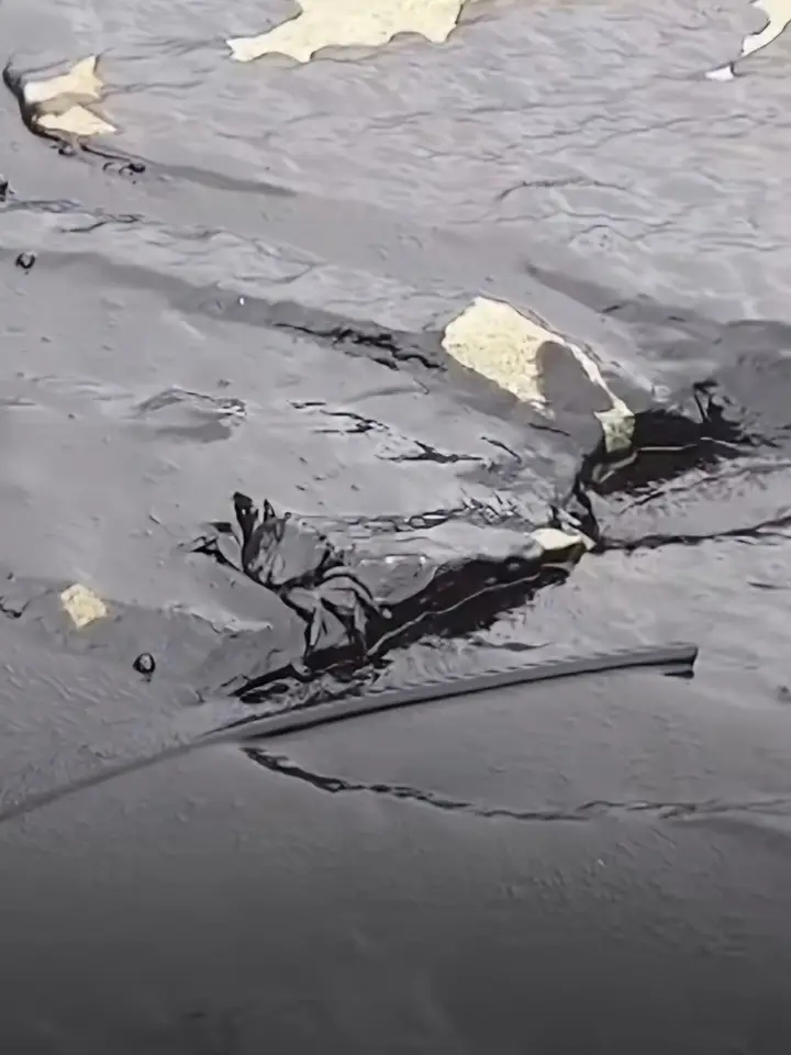 Leaked Images Expose Environmental Catastrophe in Iran After Suspected ...