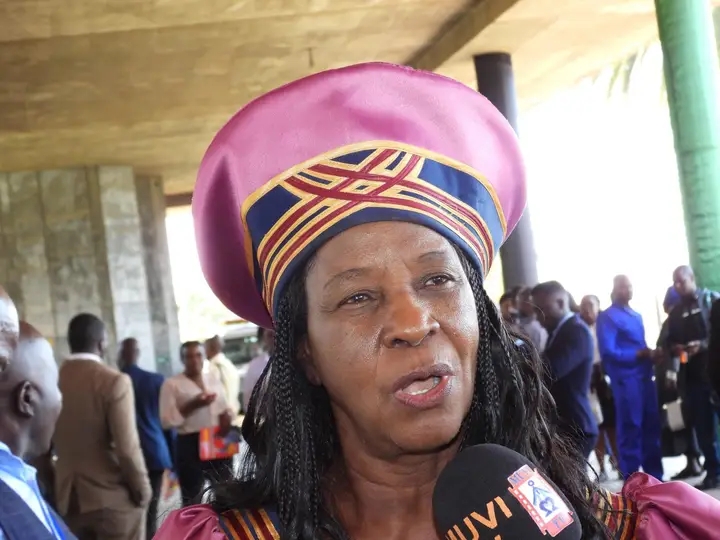 DOUBLE ADOPTIONS IN UPND WAS A STANDBY STRATEGY, HINTS IMENDA