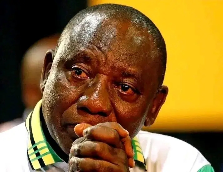 Hawks Financial Analysis Casts Doubt on Ramaphosa’s Phala Phala Claims