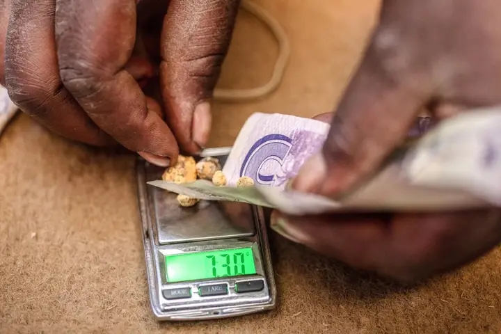 ZIMBABWE  BANS FOREIGNERS FROM SMALL-SCALE MINING