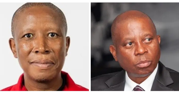 Malema Calls Mashaba ‘Foolish’ in Sharp Retort Over Border Video