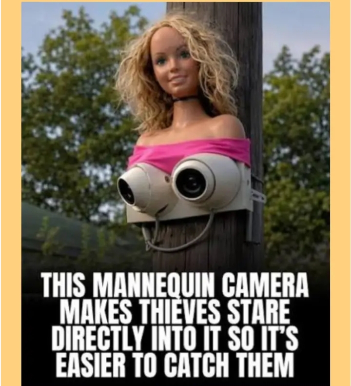 VIRAL SECURITY IDEA: Mannequin Camera Setup Leaves Internet Disturbed