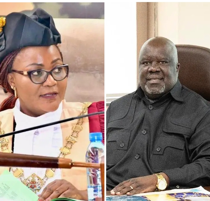 MINISTER HAS NO POWERS TO REVOKE RESOLUTIONS PASSED BY COUNCILS – LUSAKA MAYOR