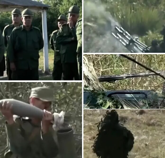 Screenshot_20260510-021336