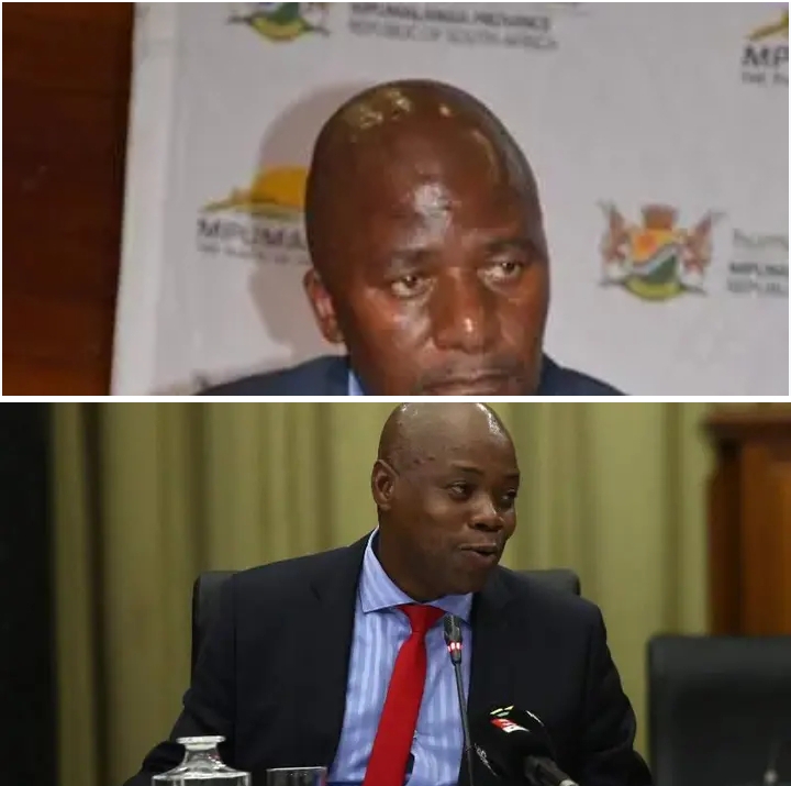 ZIMBABWEAN SECURED SA GOVT JOB USING FRAUDULENT DOCUMENTS SINCE 1995