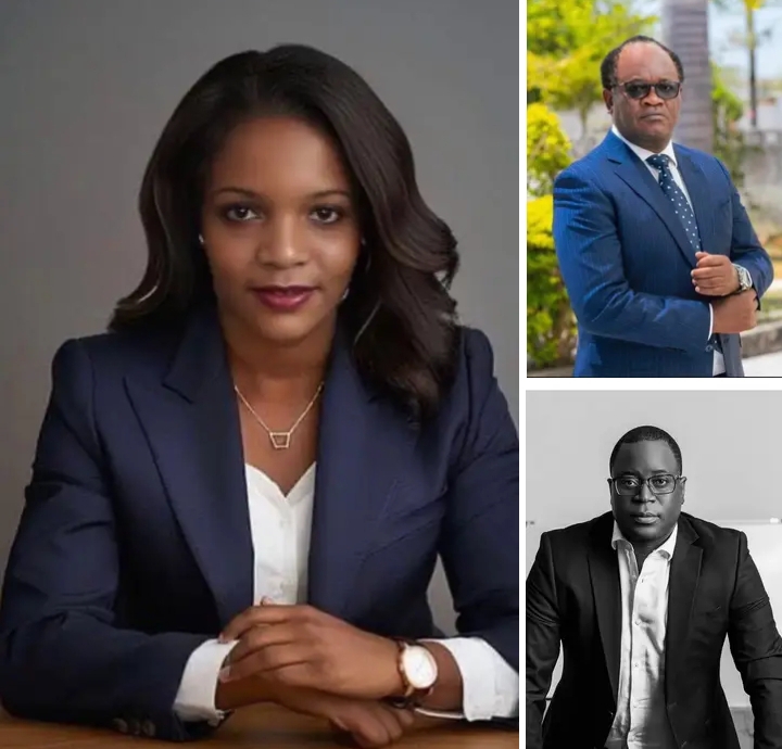 ‘Lawyers Without Political Survival Instincts’
