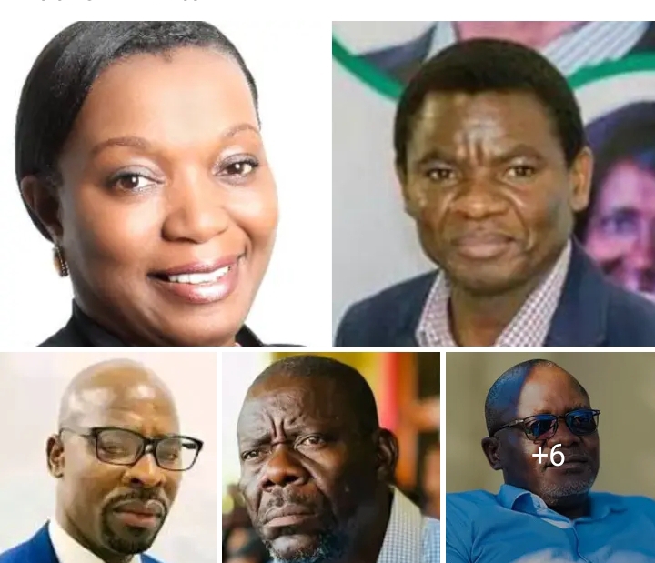 Tonse Alliance Northern candidates adopted list slips out….as Davies Mwila leads pack