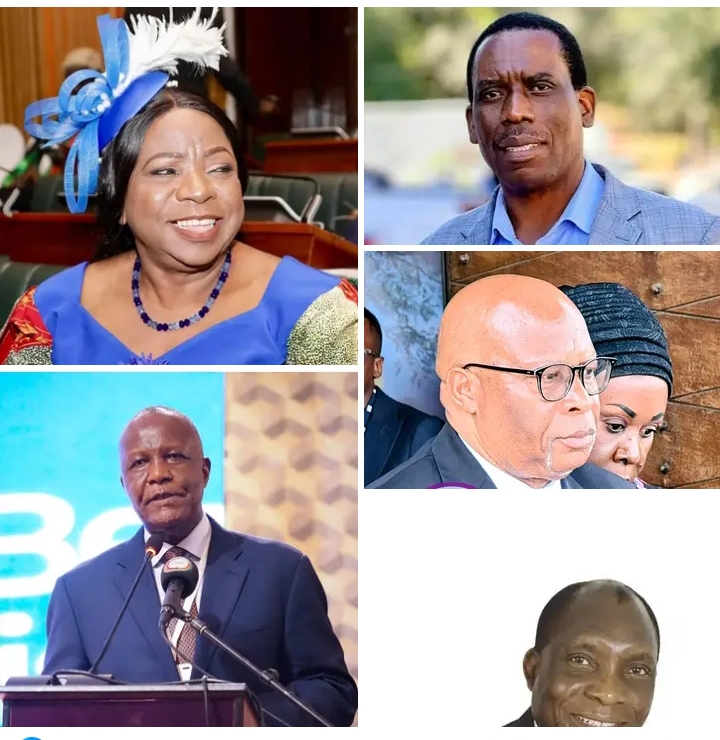 PRESIDENT HICHILEMA’S RUNNING MATE