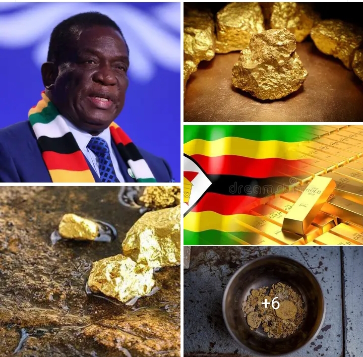 PRESIDENT MNANGAGWA JUST TOLD FOREIGNERS — ZIMBABWE’S GOLD BELONGS TO ZIMBABWEANS