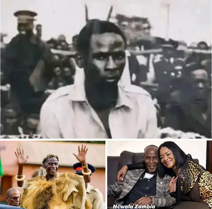 NGONI SUCCESSION