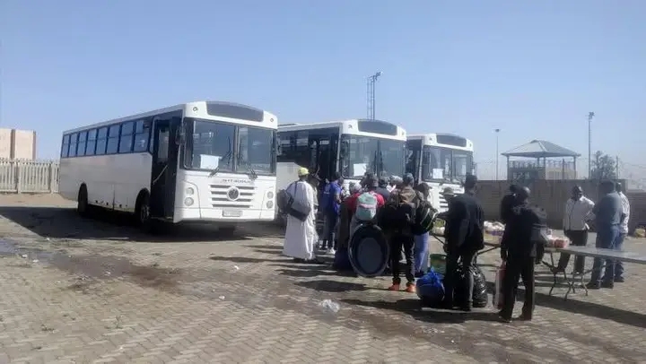 Some South African bus operators are reporting a rise in the number of people travelling from South Africa to neighbouring African countries.