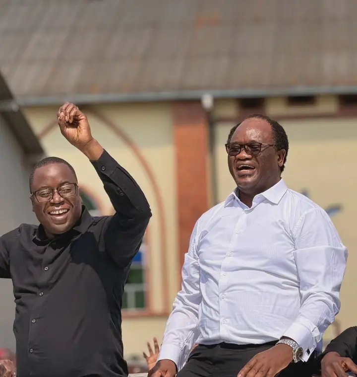Why the Two Lawyers Cant Succeed: Brian and Makebi- George N Mtonga