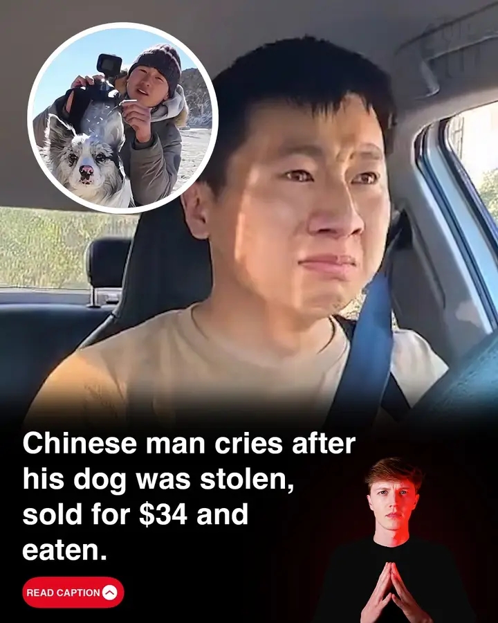 A man in China broke down after discovering his stolen dog had been sold and eaten.