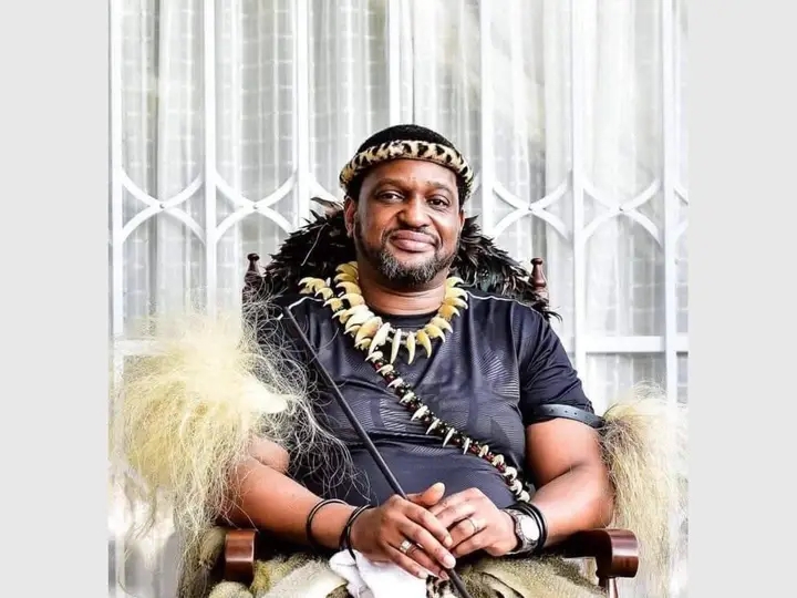 KING MISUZULU HITS BACK AT CLAIMS LINKING ZULUS TO ANTI-IMMIGRANT ATTACKS