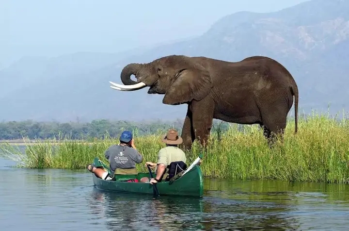 Zimbabwe Among Africa’s Top 10 Most Visited Destinations in 2025