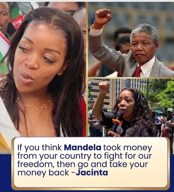 If you believe Mandela took money from your country to fight for our freedom, then go and collect your money from Mandela and his family– South African Activist Sparks Debate