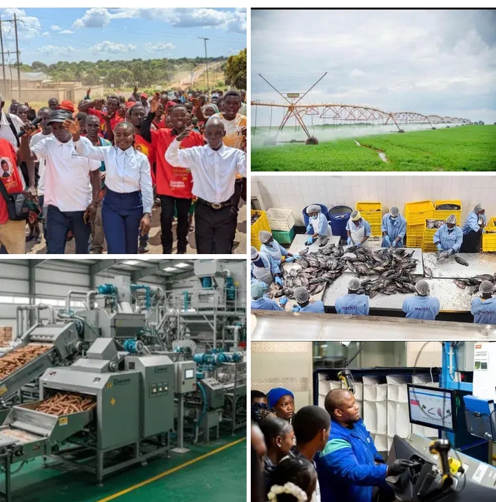 MWENSE CENTRAL CONSTITUENCY: FIVE ANCHOR PROJECTS, FORWARD WITH SUSAN MULALA