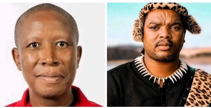 NGIZWE BACKS DOWN! MCHUNU APOLOGISES TO MALEMA IN COURT-ORDERED CLIMBDOWN