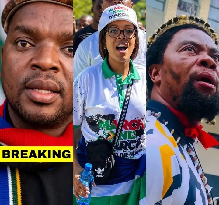 MARCH AND MARCH FIRES NGIZWE MCHUNU, ACCUSES HIM OF UNDERMINING THE ORGANISATION