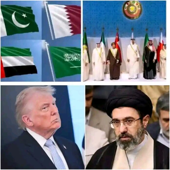 1785776515903
