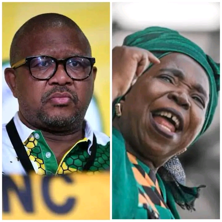 DR NKOSAZANA DLAMINI ZUMA ALLEGES MBALULA HANDED OUT MONEY AT CLINICS TO SECURE SUPPORT AHEAD OF ANC INTERNAL ELECTIONS, CALLS FOR ACCOUNTABILITY