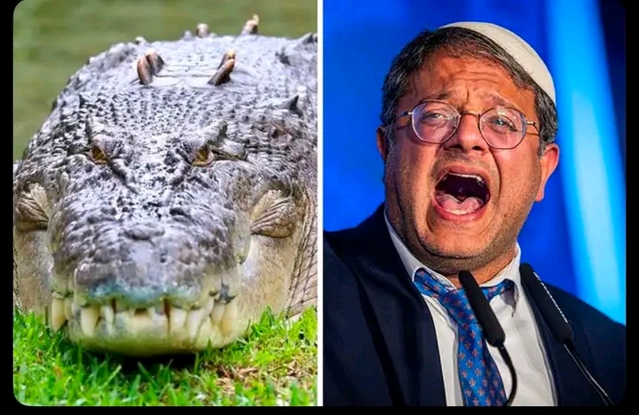 Israeli Court Halts Reported Plan to Surround Ketziot Prison with Crocodiles