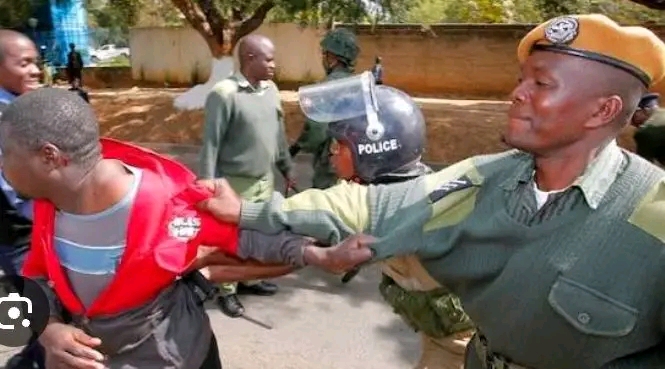 HH condemns political violence outbreak… orders law enforcement to arrest any political operative disrupting democratic campaigns