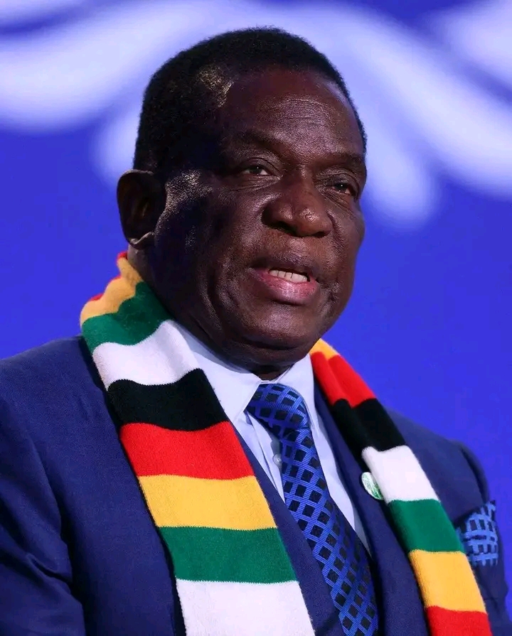 ZVIMBA DCC WANTS MNANGAGWA TO STAY ZANU PF LEADER UNTIL 2030