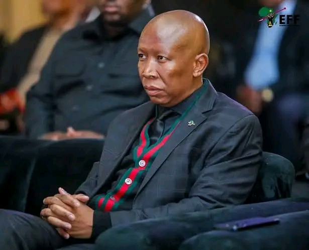 EFF Leader Julius Malema to Face Prosecution for Crimen Injuria Over School Rape Allegations