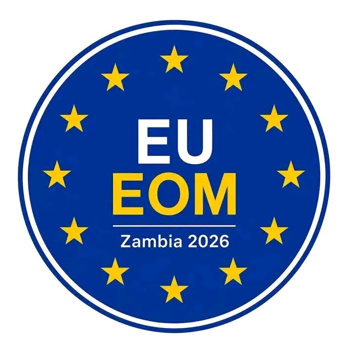 EXPLAINER | EU Flags Gaps in August 13 Vote Tally