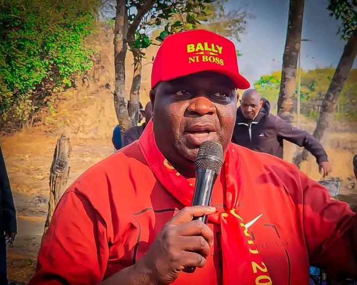 RESPECT THE OFFICE OF THE PRESIDENT — THIS NONSENSE STOPS NOW- Hon. Elisha Matambo