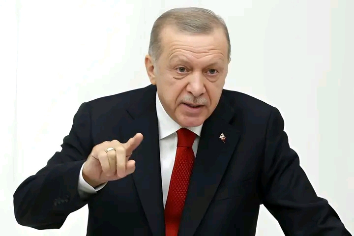 Erdoğan: Turkey Cannot Be Intimidated by “Petty Plots”
