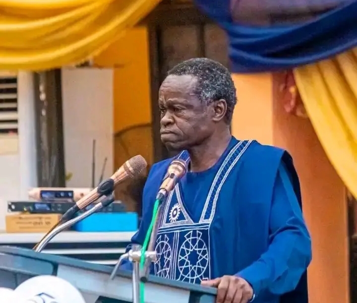 Why must Africans speak foreign languages to be seen as intelligent- P.L.O. Lumumba