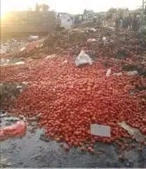 NJOBVU CALLS FOR TOMATO PROCESSING TO END WASTAGE, CREATE JOBS