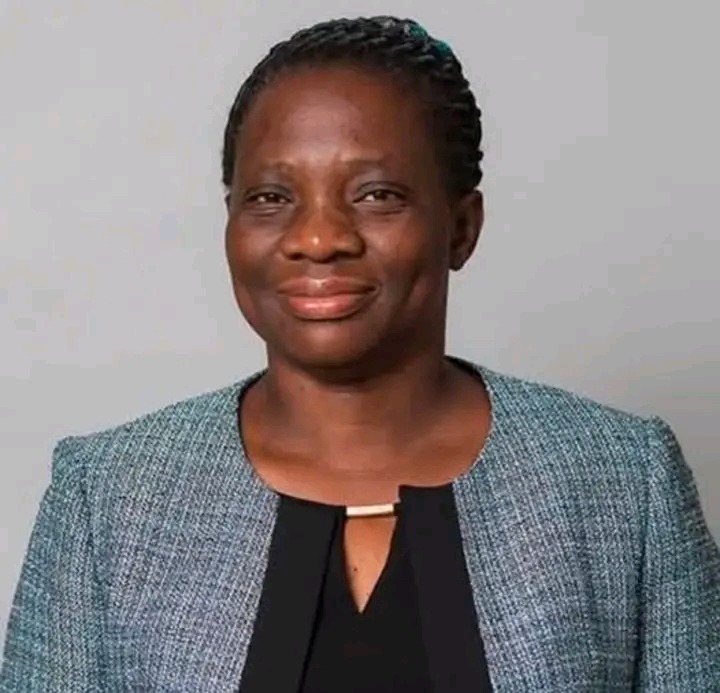 Former Constitutional Court judge Anne Mwewa Sitali  released on bail after arrest over election petition advice