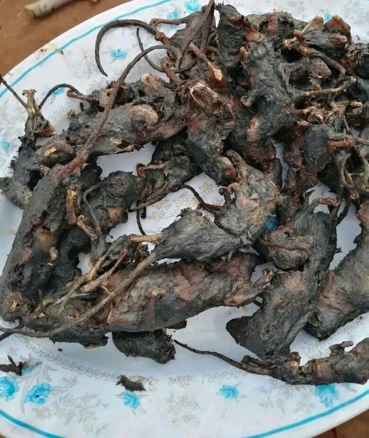 18-YEAR-OLD PUPIL DIES AFTER DISAGREEMENT OVER MICE AND GRASSHOPPERS IN KATETE
