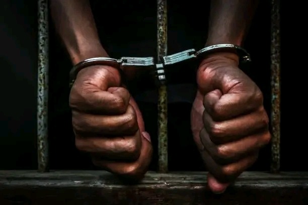Cattle herder sodomizes boy, gives him mbeba(mice) to keep quiet